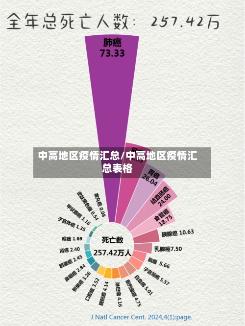 中高地区疫情汇总/中高地区疫情汇总表格