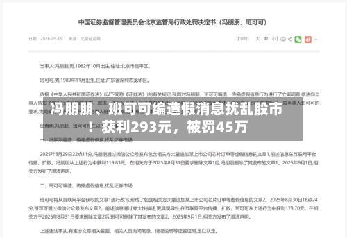 冯朋朋、班可可编造假消息扰乱股市！获利293元，被罚45万
