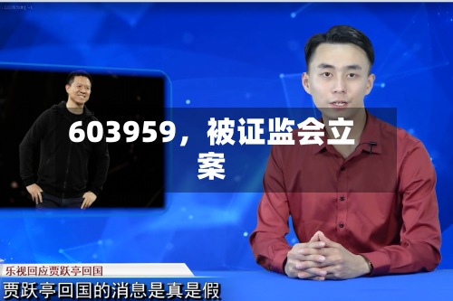 603959，被证监会立案