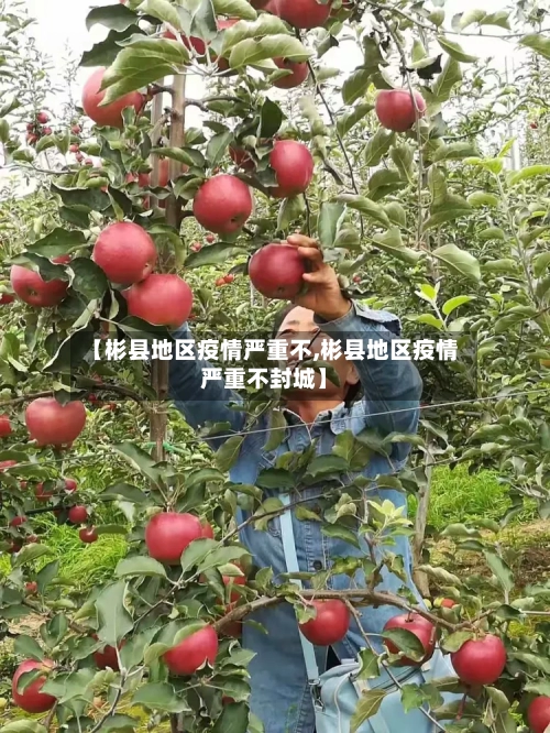 【彬县地区疫情严重不,彬县地区疫情严重不封城】