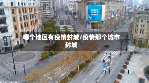 哪个地区有疫情封城/疫情那个城市封城