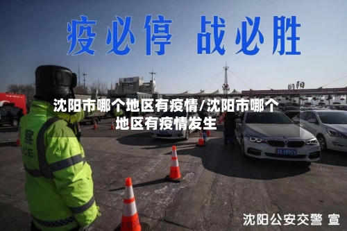 沈阳市哪个地区有疫情/沈阳市哪个地区有疫情发生