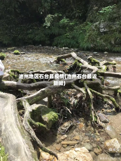 池州地区石台县疫情(池州石台最近新闻)