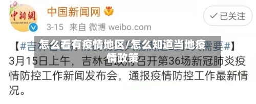怎么看有疫情地区/怎么知道当地疫情政策
